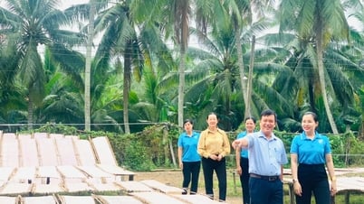 Hỗ trợ phụ nữ phát triển sản phẩm OCOP