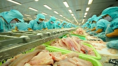 สหรัฐฯ ยกเว้นภาษีป้องกันการทุ่มตลาดสำหรับบริษัทปลาสวาย 7 แห่งในเวียดนาม