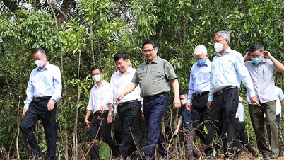 Dong Nai inaugura ruta de transporte que conecta Binh Phuoc para atender a funcionarios y empleados públicos