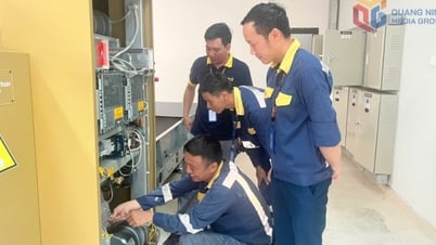 경쟁은 일상적인 행동입니다.