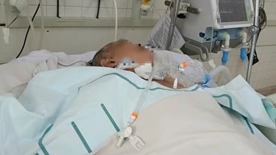 Vết loét nhỏ khiến bệnh nhân hôn mê một tháng chưa tỉnh