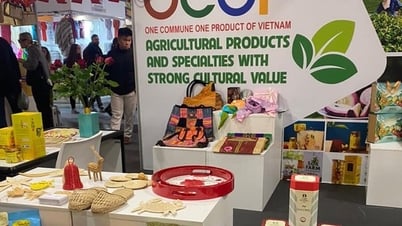 OCOP製品はベトナムのあらゆる村のエッセンスと魂を運んでいます