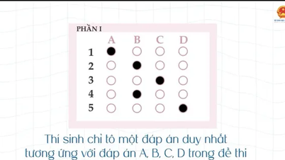 Guides du ministère de l'Éducation et de la Formation pour répondre aux questions à choix multiples afin d'éviter les erreurs pouvant entraîner la perte de points à l'examen de fin d'études secondaires