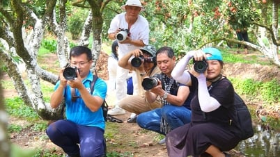 Hai Phong Press Photo Club composed in Hai Duong