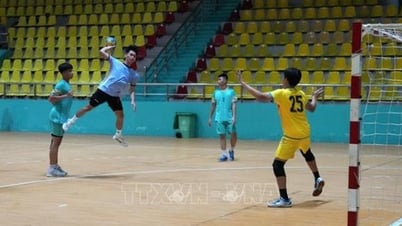 Khoảng 300 vận động viên tranh tài Giải vô địch Bóng ném trẻ quốc gia