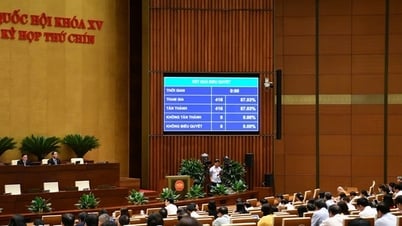 Quốc hội thông qua Luật sửa đổi, bổ sung một số điều của Luật Quốc tịch Việt Nam