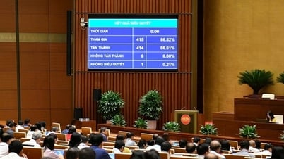 L'Assemblée nationale modifie le programme de la 9e session, n'a pas encore approuvé l'amendement de la loi sur l'urbanisme