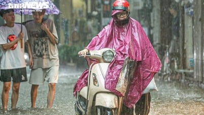 Dự báo thời tiết 10 ngày: Hà Nội và các tỉnh thành miền Bắc tiếp tục mưa dông
