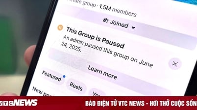Loạt nhóm Facebook 'đóng băng', quản trị viên mất quyền kiểm soát không lý do