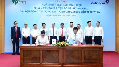 VietinBank và Công ty Cổ phần Tập đoàn Đầu tư Việt Phương hợp tác toàn diện