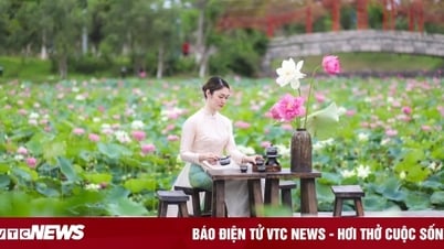 Principales raisons pour lesquelles les gens affluent à Sun World Ha Long cet été