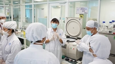 호치민시 국립대학교에는 정보기술, 반도체 칩, AI 분야의 교수가 17명 더 있습니다.