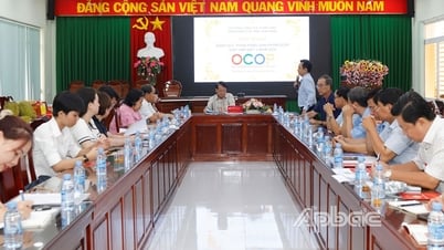 Tien Giang : Évaluation et classification des produits OCOP provinciaux, phase 1, 2025
