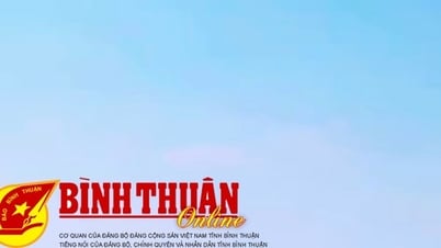 Thông qua Nghị quyết đầu tư tuyến đường nối từ nút giao cao tốc Vĩnh Hảo – Phan Thiết đến đường Lê Duẫn