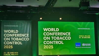 أربع نقاط رئيسية من المؤتمر العالمي لمكافحة التبغ لعام 2025