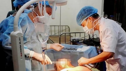Ngư dân bị cá kìm đâm vào cổ khi đang lặn biển