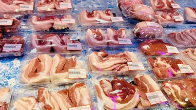 Pig price today June 24: Lost the mark of 70,000 VND/kg