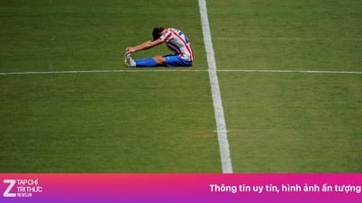 Atletico និង​តម្លៃ ១៧,៥ លាន​អឺរ៉ូ