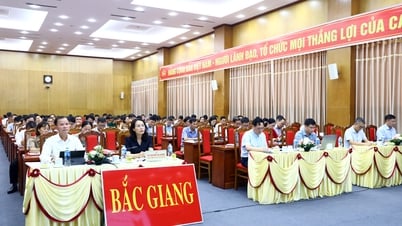 បន្តអនុវត្តការងារអធិការកិច្ច ត្រួតពិនិត្យ និងវិន័យរបស់បក្សឱ្យបានគ្រប់ជ្រុងជ្រោយ និងមានប្រសិទ្ធភាព។