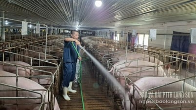 Safe and sustainable livestock farming