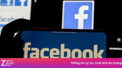 مجموعة فيسبوك تضم ملايين الأعضاء في فيتنام "تختفي"