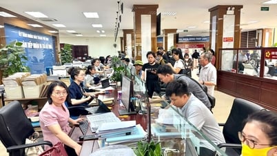 응에안성 많은 가구, 새로운 토지 이용 전환세에 '충격'