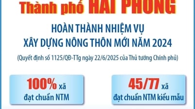 TP Hải Phòng hoàn thành nhiệm vụ xây dựng nông thôn mới năm 2024