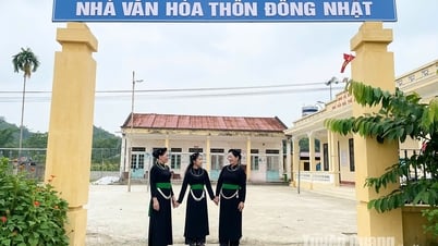 بالكأس ضد تدفق الذاكرة