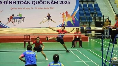 Quảng Nam: Khai mạc Giải vô địch cầu lông, bóng bàn gia đình toàn quốc