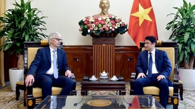 Deputy Foreign Minister Le Anh Tuan received the Director of the Department of Legal Affairs, Russian Ministry of Foreign Affairs