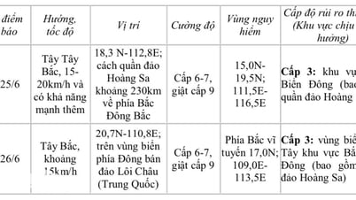 Áp thấp nhiệt đới xuất hiện trên biển Đông