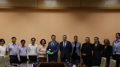 Le Vietnam et le Danemark lancent la phase 3 du programme de coopération sanitaire