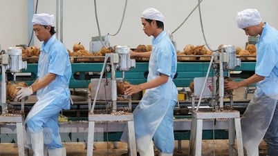 Ben Tre - the 'coconut land' is growing