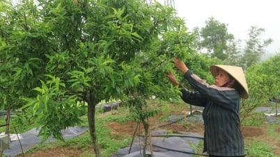 من أجل سعادة الناس