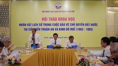Promouvoir la valeur des reliques associées aux événements de combat dans l'estuaire de Thuan An et dans la cité impériale de Hué