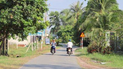 តៃនិញ៖ អភិវឌ្ឍន៍ជនបទ កាត់បន្ថយភាពក្រីក្រប្រកបដោយនិរន្តរភាព