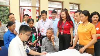 Tận tâm những từ mẫu trẻ