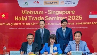 ベトナム企業のハラール市場への輸出と観光促進を支援