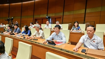 Loi sur la nationalité modifiée : les personnes naturalisées peuvent avoir une combinaison de noms vietnamiens et étrangers