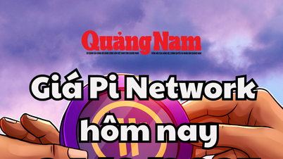 Giá Pi Network hôm nay 24/6/2025: Gây sốc về vụ trộm Bitcoin lớn