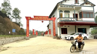 Tiền Phong không chỉ đi đầu