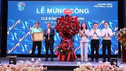 Der Quang Ninh Club erhielt Milliarden für den vorzeitigen Aufstieg in die erste Liga und steht kurz vor dem Erhalt des Cam Pha-Stadions.