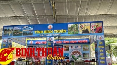 Bình Thuận tham gia Hội chợ Xúc tiến thương mại cho các hợp tác xã khu vực miền Trung - Tây nguyên