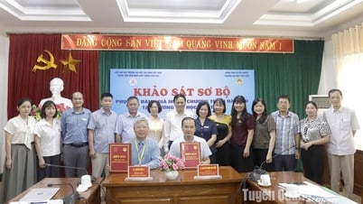 แบบสำรวจเพื่อเตรียมการประเมินโครงการฝึกอบรมระดับปริญญาตรี มหาวิทยาลัยตันตราว