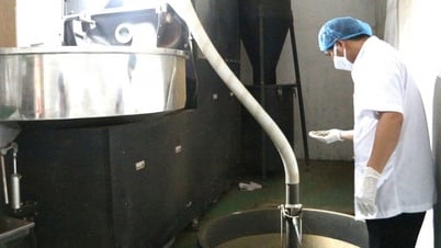 El número de empresas de nueva creación aumentó considerablemente.
