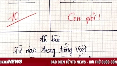 Từ nào trong Tiếng Việt vừa nặng, vừa nhẹ?