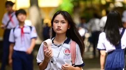 Ho Chi Minh City 10th grade benchmark scores in 2025 will increase by 1.5-2 points in many schools, while some groups will decrease.