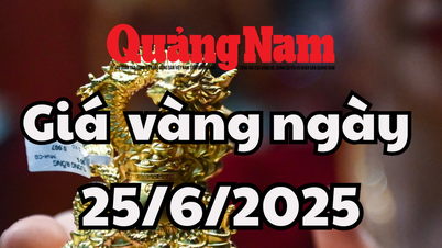 Tin tức, dự báo giá vàng ngày mai 25/6/2025 bị ảnh hưởng của chia rẽ thị trường tác động