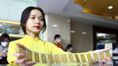 Giá vàng chiều nay 24/6/2025: Vàng SJC, DOJI đồng loạt giảm, vàng thế giới rớt thê thảm