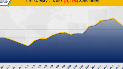Giá cà phê đảo chiều tăng vọt, giá dầu thô lao dốc hơn 7%